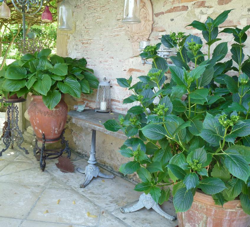 Le Pouy Bed & Breakfast Termes-d'Armagnac Exterior photo
